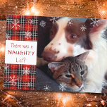 Naughty or Nice Snowflake Red Plaid Your Greeting  Holiday Card<br><div class="desc">Funny pet photo Christmas holiday greeting card featuring a picture of your mischievous dog, cat or other pet, the humorous saying THERE WAS A NAUGHTY LIST? and a red plaid and snowflakes design on the front and your custom holiday greeting and names on the back (the sample suggests HAPPY HOLIDAYS)....</div>