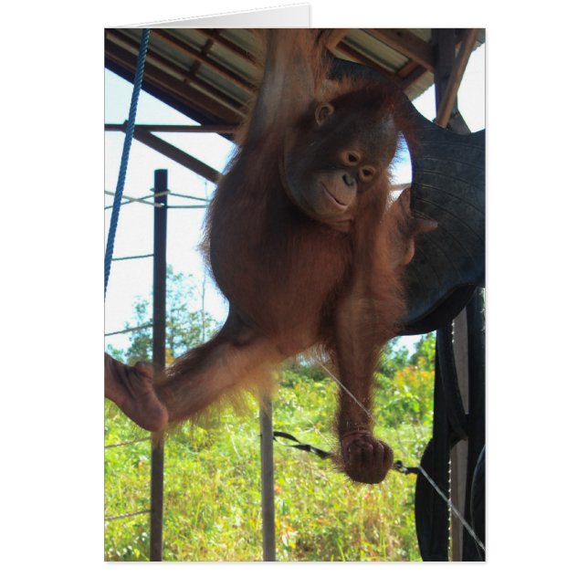 Naughty Primate Potty Break (Front)