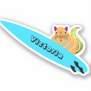 Naughty Squirrel #1586 Surfing