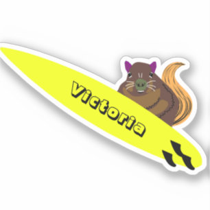 Naughty Squirrel #1915 Surfing