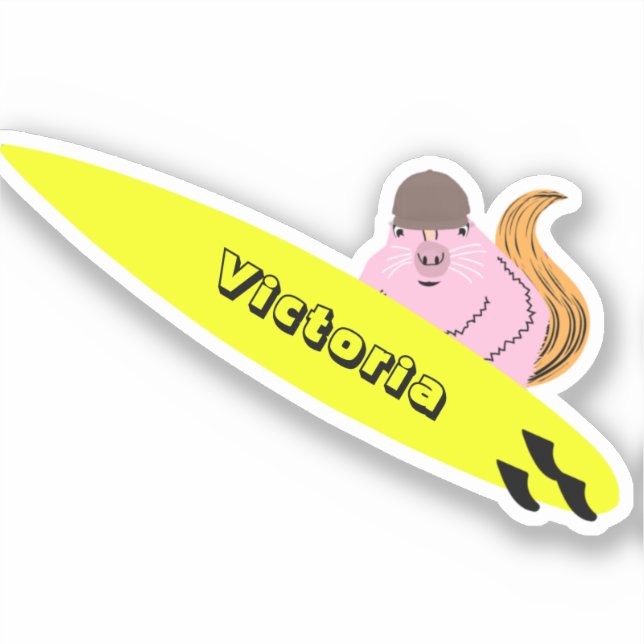 Naughty Squirrel #1994 Surfing (Front)