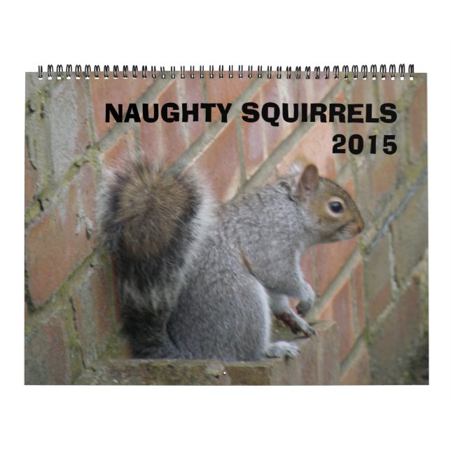 Naughty Squirrels 2015 Calendar (Cover)