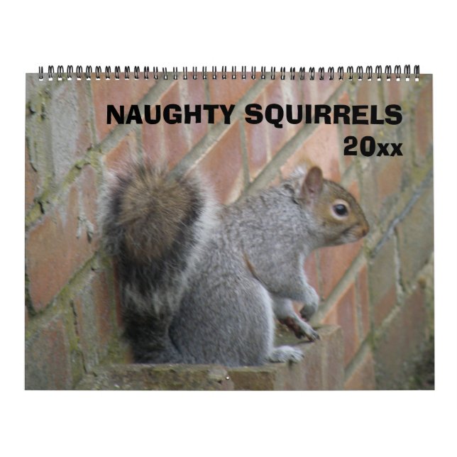 Naughty Squirrels Custom Calendar (Cover)