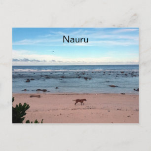 nauru beach dog postcard