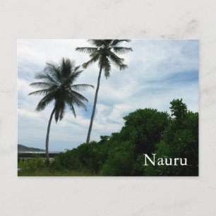 nauru palms postcard