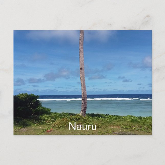 nauru tree postcard (Front)
