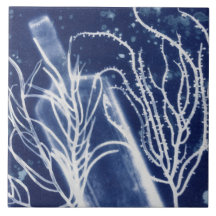 Nautical Beach Cyanotype Accent