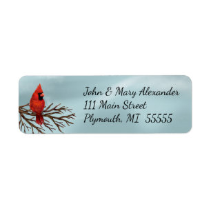 Nautical Christmas Envelope Address Label