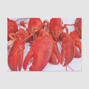 Nautical Ocean Red Lobster Tissue Paper