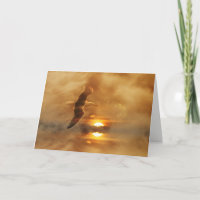Nautical Ocean Sea Gull With Deepest Sympathy Card
