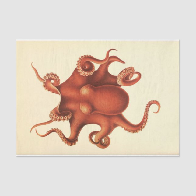 Nautical Octopus Ephemera Decoupage Red Tissue Paper (Front)