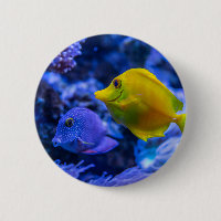 Nautical Photos Marine Animal Photography Fish Pic