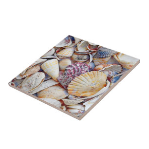 Nautical Sea Shells Ocean Beach Watercolor Tile
