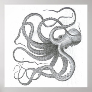 Nautical steampunk octopus vintage kraken drawing poster