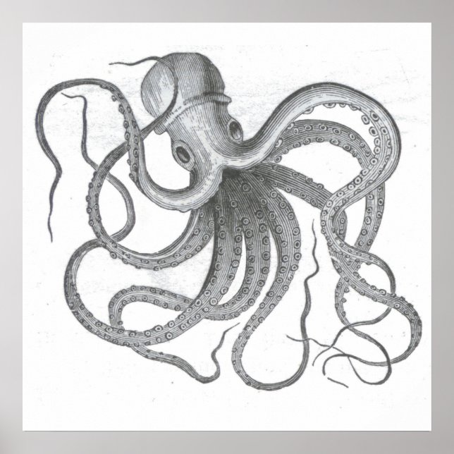 Nautical steampunk octopus vintage kraken drawing poster (Front)