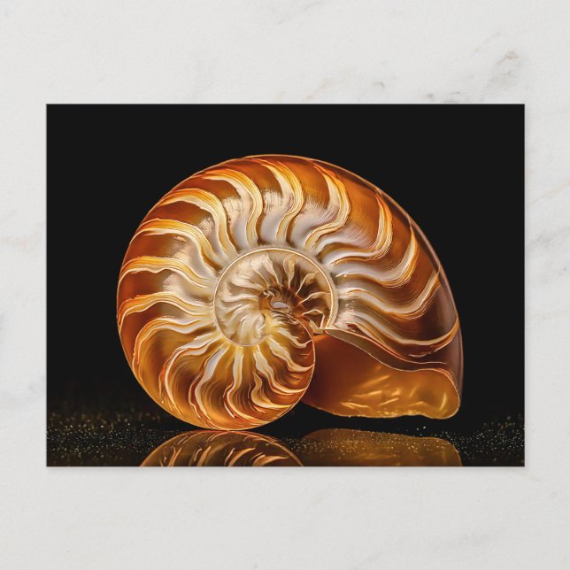 Nautile, golden shell postcard (Front)