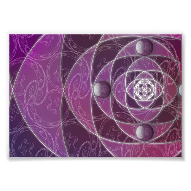 Nautilina Photo Print (Front)