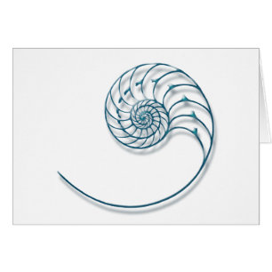 Nautilus 2