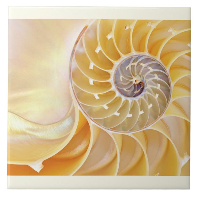 Nautilus Ceramic Tile (Front)