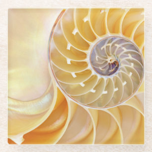 Nautilus glass Coaster