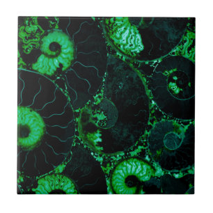 Nautilus green shell design tile