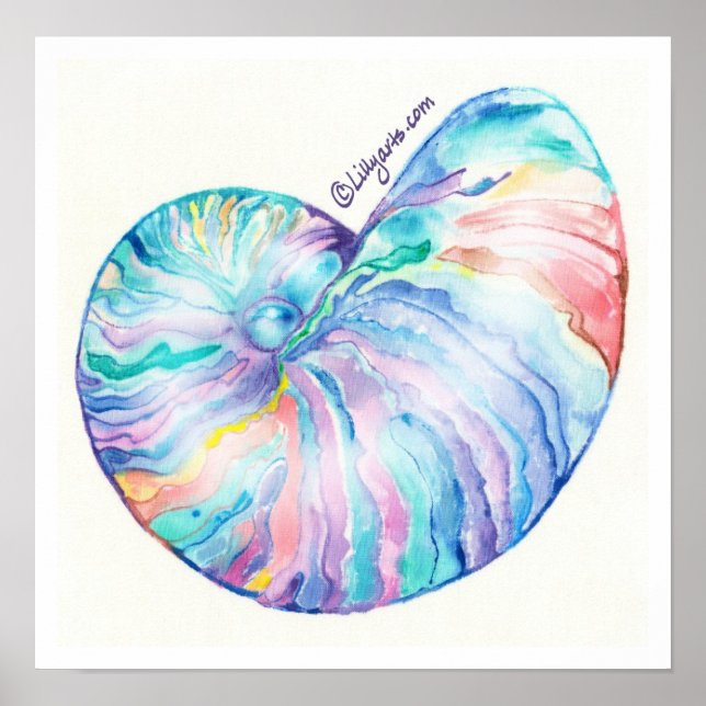 Nautilus Infinity Fine Art Print and Poster (Front)