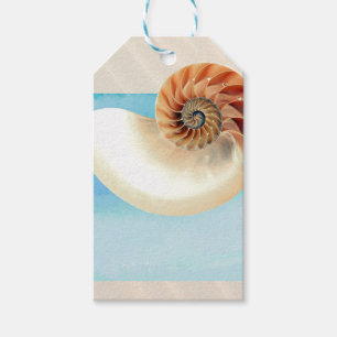 Nautilus Seashell and Sand Gift Tags