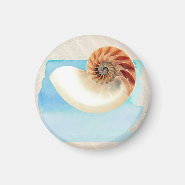 Nautilus Seashell and Sand  Magnet (Front)