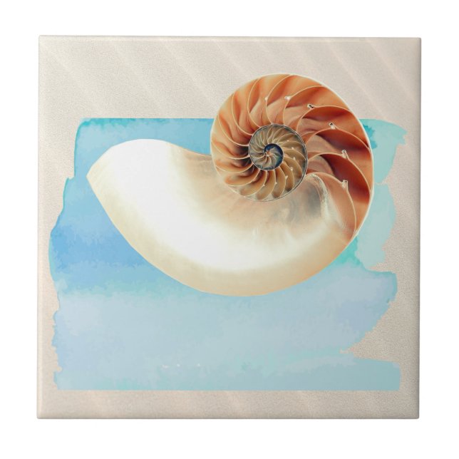 Nautilus Seashell and Sand  Tile (Front)