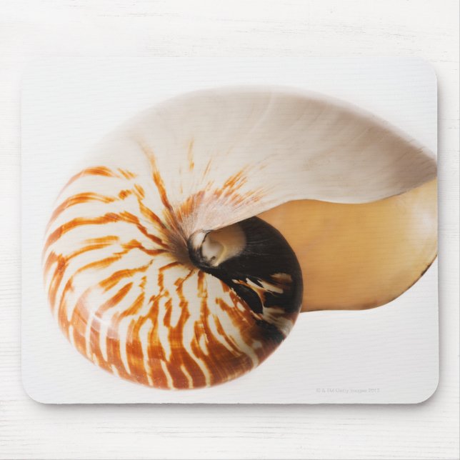 Nautilus seashell (Nautilus stenomphalus) Mouse Pad (Front)