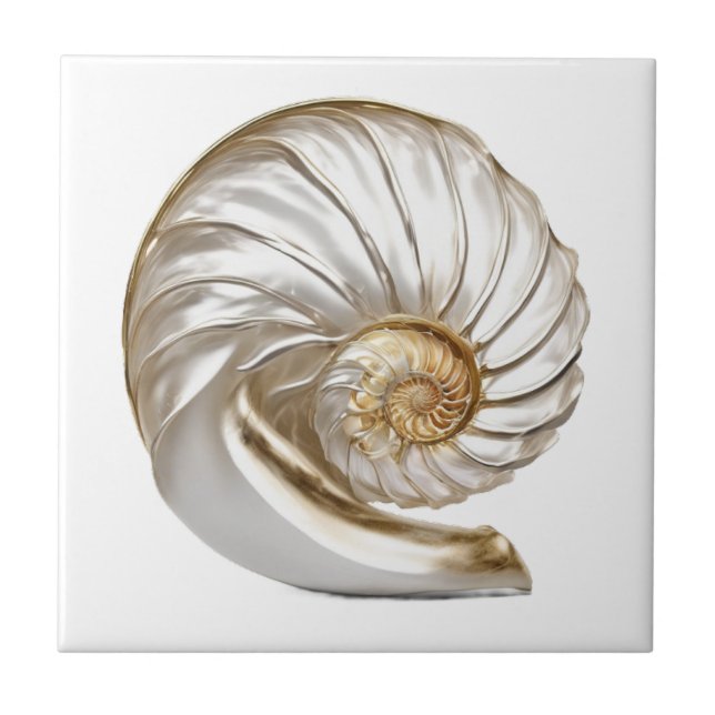 Nautilus seashell pearl 3D beach sea nautical Tile (Front)