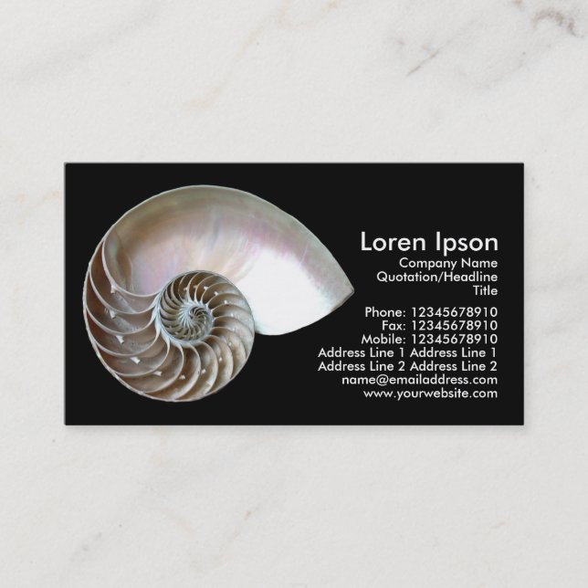 Nautilus Shell - Black Business Card (Front)