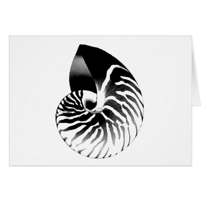 Nautilus shell - black, grey and white (Front Horizontal)
