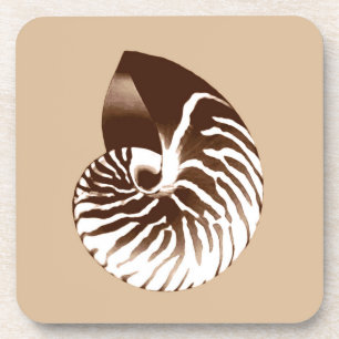 Nautilus shell - brown, white and beige coaster