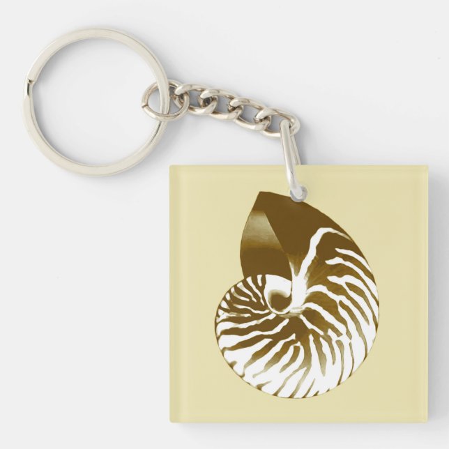Nautilus shell - brown, white and beige key ring (Front)