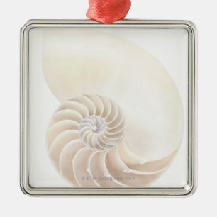 Nautilus shell, close-up metal tree decoration