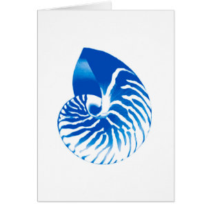 Nautilus shell - cobalt blue and white