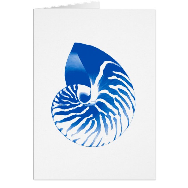 Nautilus shell - cobalt blue and white (Front)