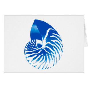 Nautilus shell - cobalt blue and white
