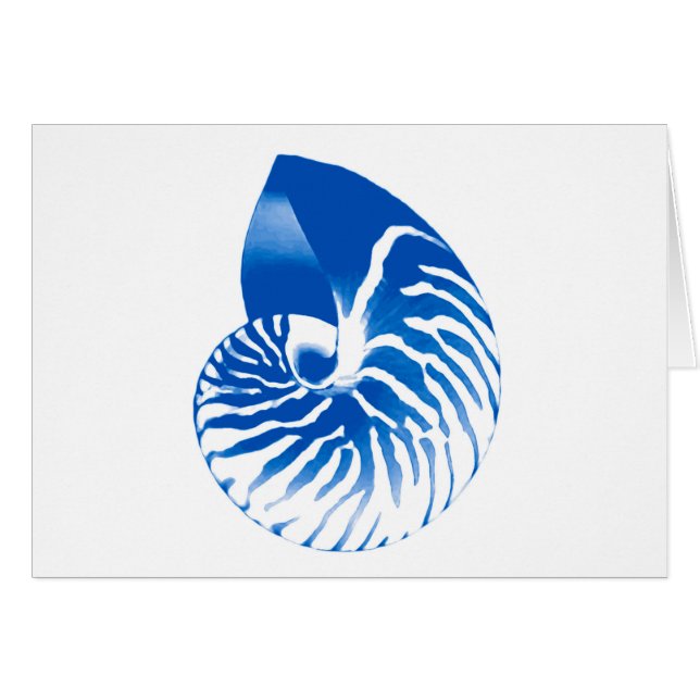 Nautilus shell - cobalt blue and white (Front Horizontal)