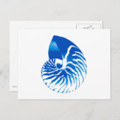 Nautilus shell - cobalt blue and white postcard (Front/Back)