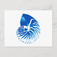 Nautilus shell - cobalt blue and white