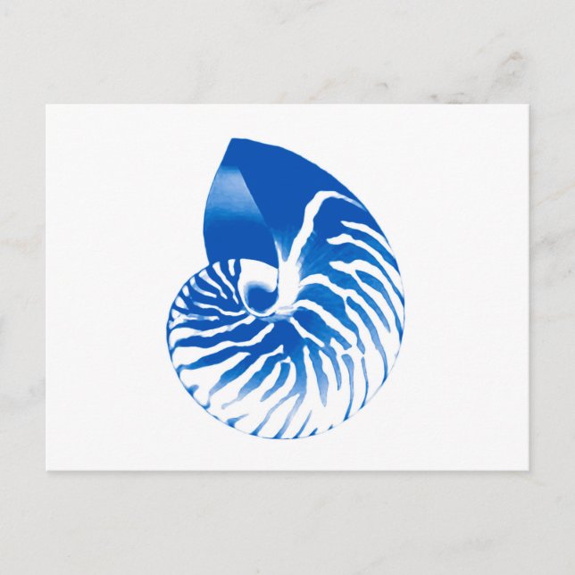 Nautilus shell - cobalt blue and white postcard (Front)
