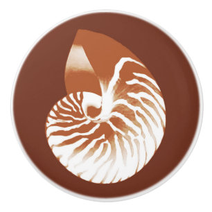 Nautilus shell - cocoa brown and white ceramic knob
