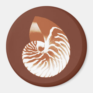 Nautilus shell - cocoa brown and white magnet