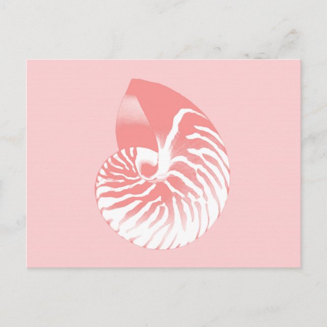 Nautilus shell - coral pink and white postcard (Front)