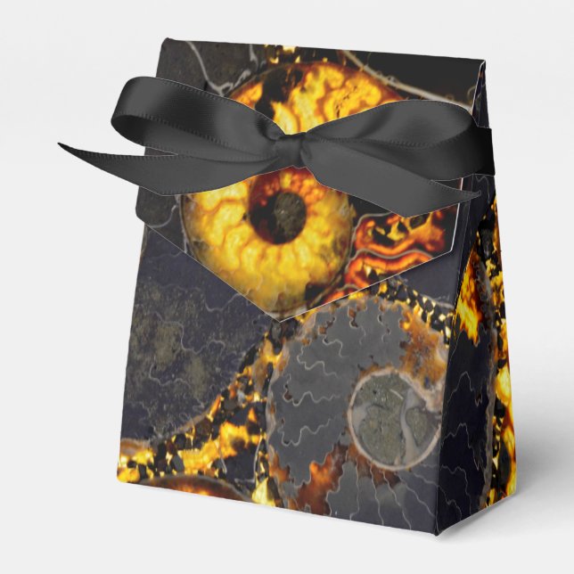 Nautilus shell design favour box (Front Side)