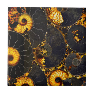 Nautilus shell design tile
