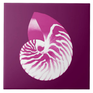Nautilus shell - eggplant purple and white tile