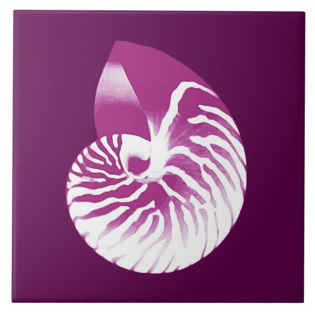 Nautilus shell - eggplant purple and white tile (Front)